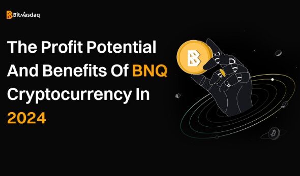 Benefits of BNQ Staking